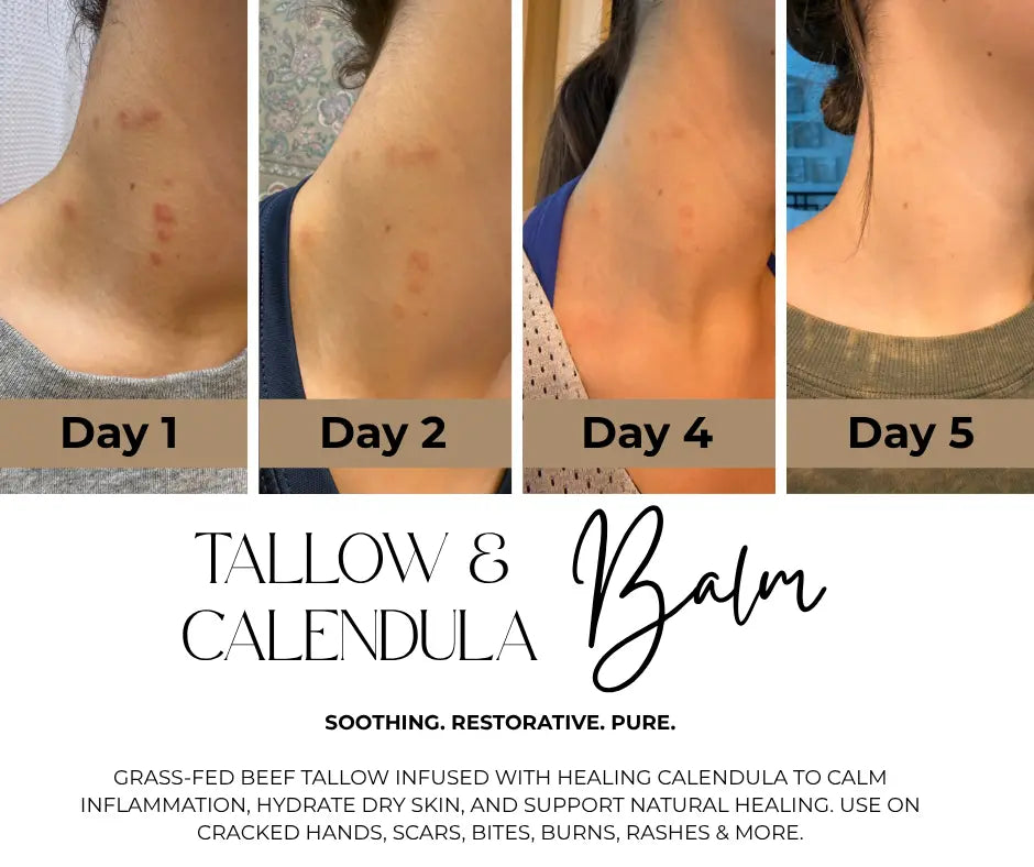 Tallow & Calendula Balm Birch and Bridle Soap Bar